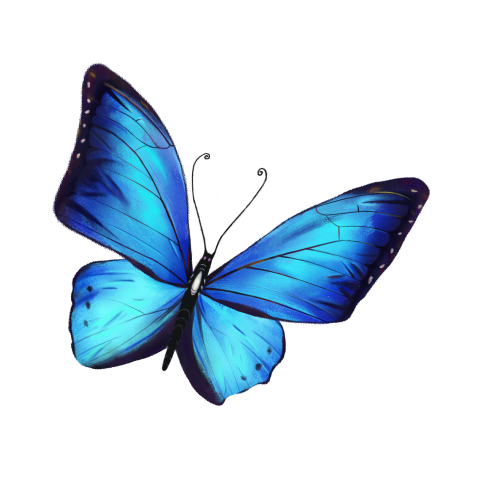 Colorful blue watercolor butterfly PNG Download