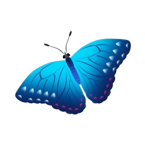 Blue butterfly illustration PNG Free Download