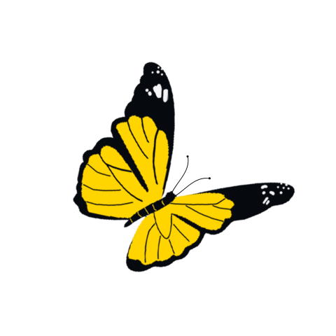 A yellow flying butterfly cartoon Free Download PNG