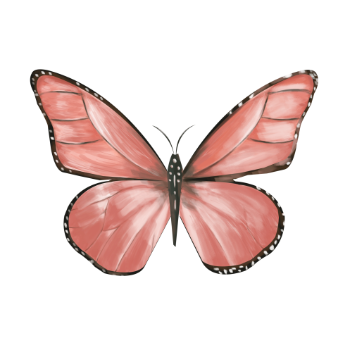 Red colored butterfly black wings Free PNG Download