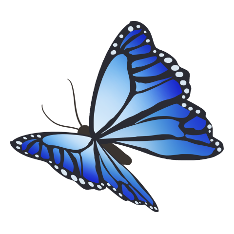 Blue butterfly cartoon illustration PNG Download Free