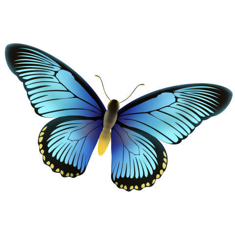 Blue butterfly png material PNG Free Download
