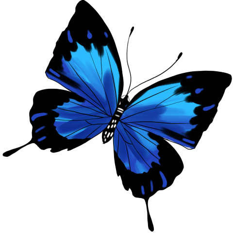 Black blue butterfly cartoon illustration PNG Free Download