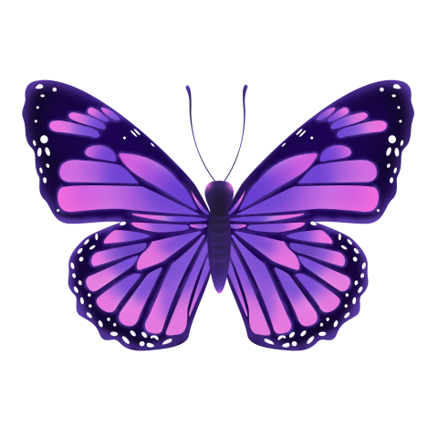 Purple butterfly png material PNG Download