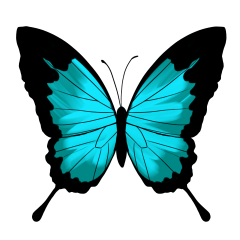 Blue butterfly illustration Free PNG Download