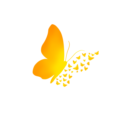 Vector hand drawn yellow butterfly PNG Download