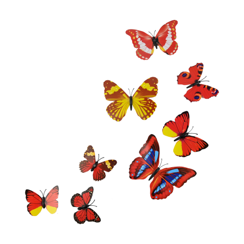 Butterfly flying dance PNG Download
