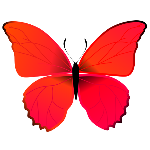 Beautiful red butterfly illustration vector PNG Free Download