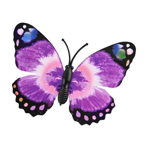 Butterfly purple plastic jewelry PNG Free Download