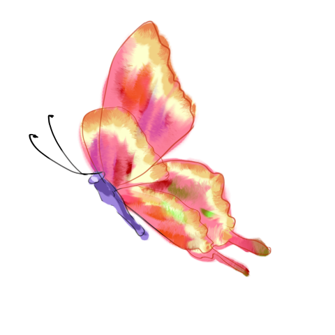 Watercolor red butterfly yellow butterfly Free PNG Download