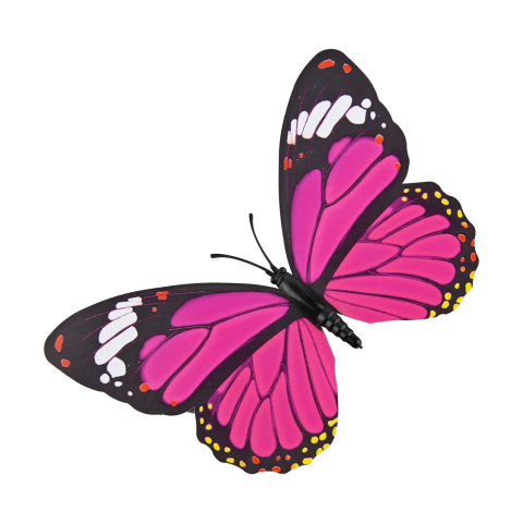 Butterfly pink pattern PNG Download