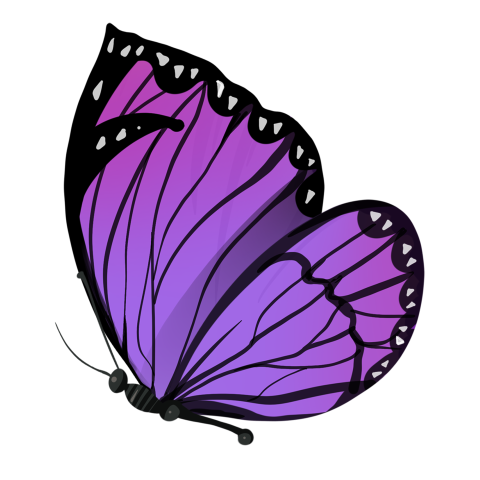 Beautiful purple butterfly illustration Free PNG Image