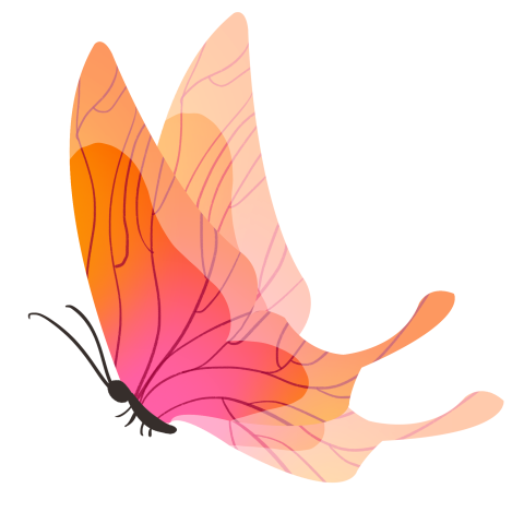 Beautiful butterfly cartoon illustration PNG Download