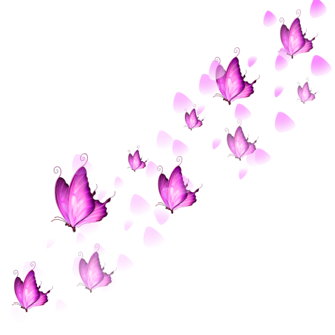 Pink butterfly rose petals floating PNG Free Download