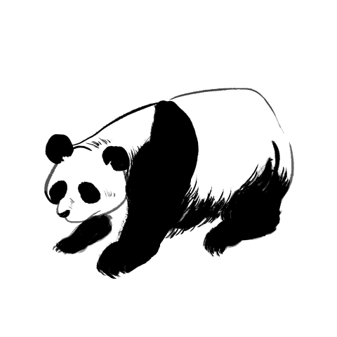 Hand drawn standing panda illustration PNG Download
