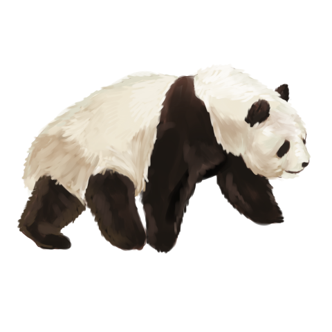 Simulation of giant panda animal Free PNG Download