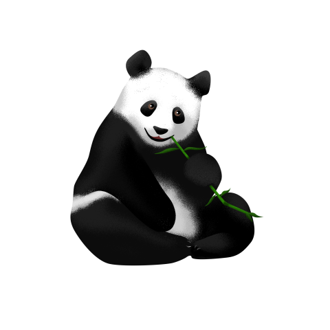 Cute panda eating bamboo picture PNG Free Download