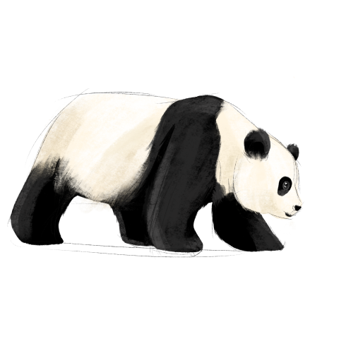 Original hand painted walking panda element PNG Download