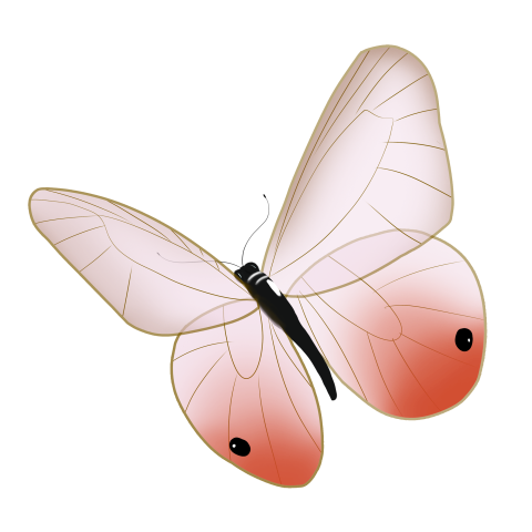 Transparent beautiful butterfly PNG Free Download