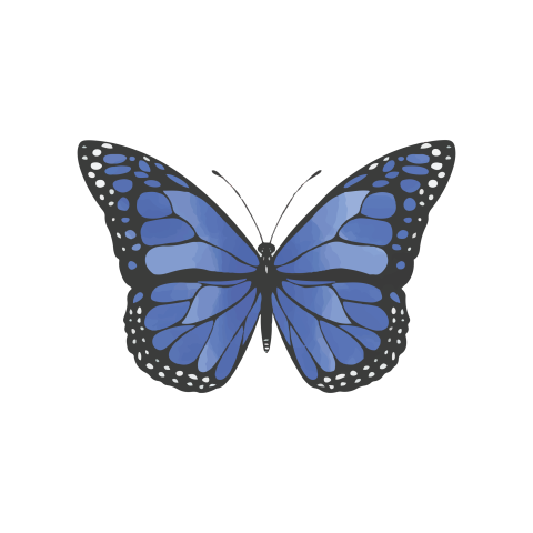 Watercolor blue butterfly PNG Free Download