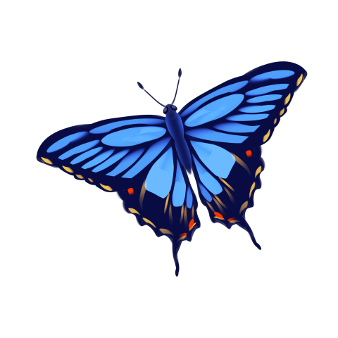 Light blue butterfly illustration PNG Free Download