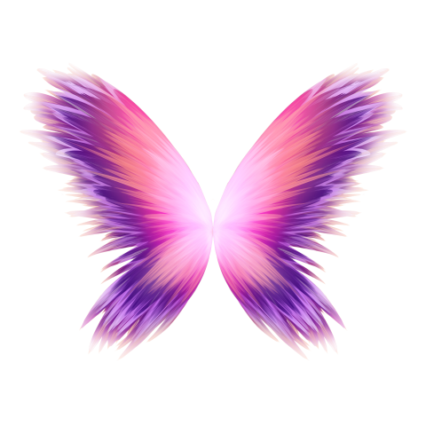 Colorful butterfly wings PNG Free Download