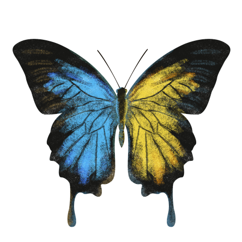 Simulation butterfly png material PNG Free Download
