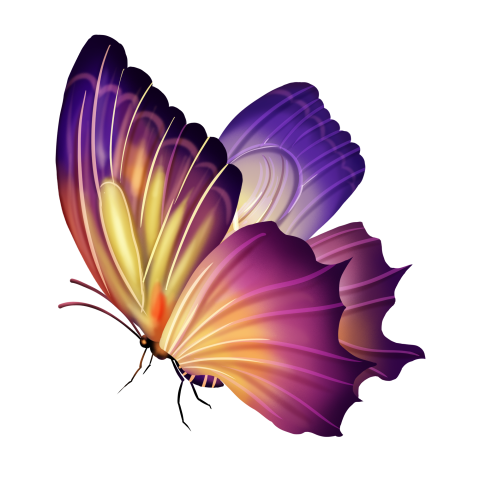 Spring color gorgeous butterfly realistic PNG Free Download