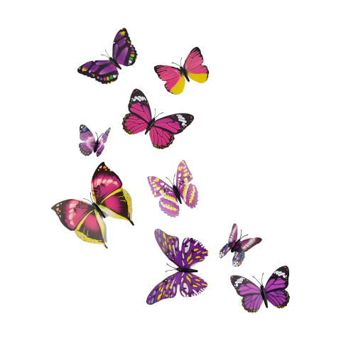 Butterfly group Free PNG Download