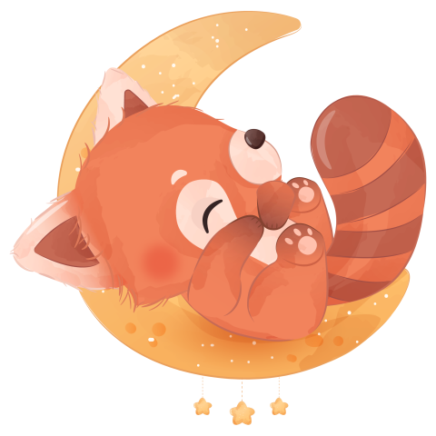 Cute little red panda illustration Free PNG Download