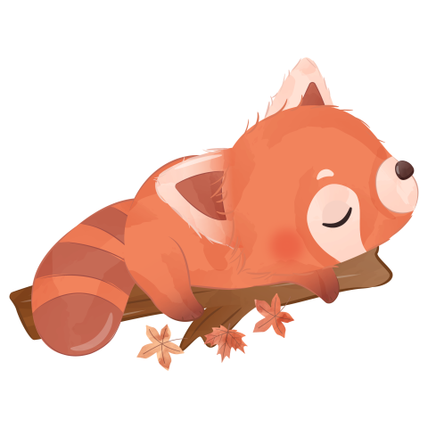 Cute little red panda illustration PNG Free Download