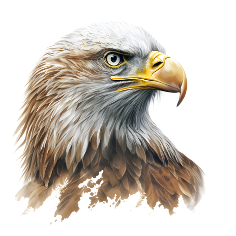 Eagle brown illustration background PNG Download