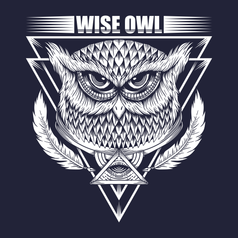 Wise owl vector illustration PNG Download Free