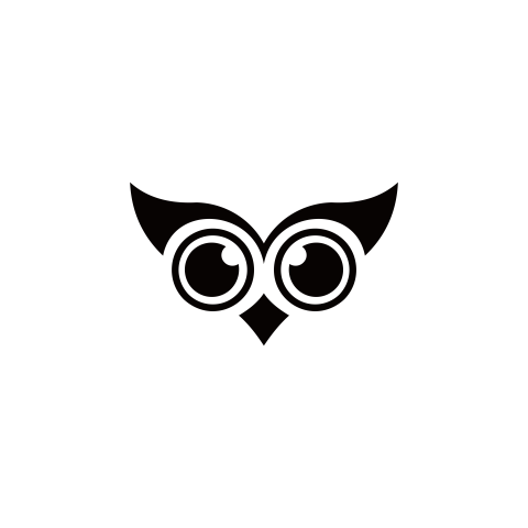 Owl bird animal Free PNG Download