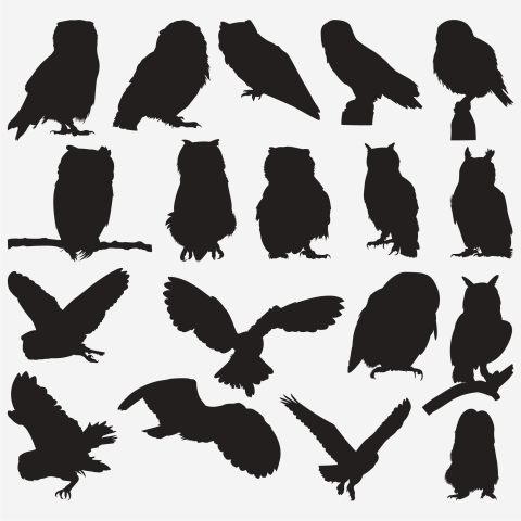 Owl silhouettes Free PNG Download