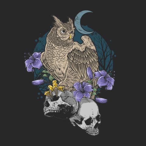 Owl bird floral with skull Free PNG Download
