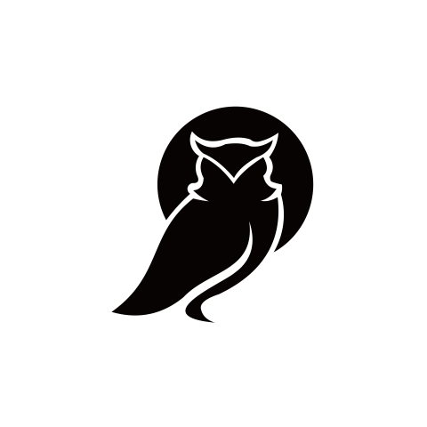 Owl bird animal PNG Download