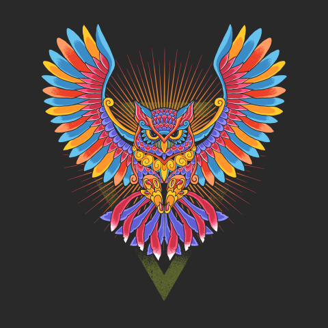 Owl colorful ornamental illustration vector Free PNG Download