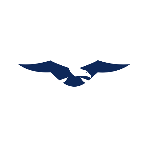 Illustration of eagle logo vector PNG Free Download