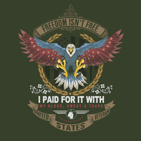 American veteran eagle illustration vector PNG Free Download (2)
