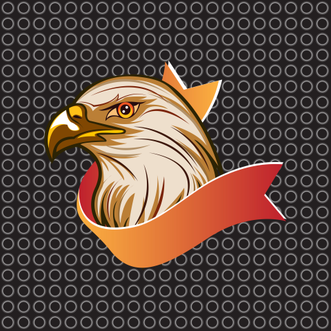 Head eagle american symbol PNG Free Download
