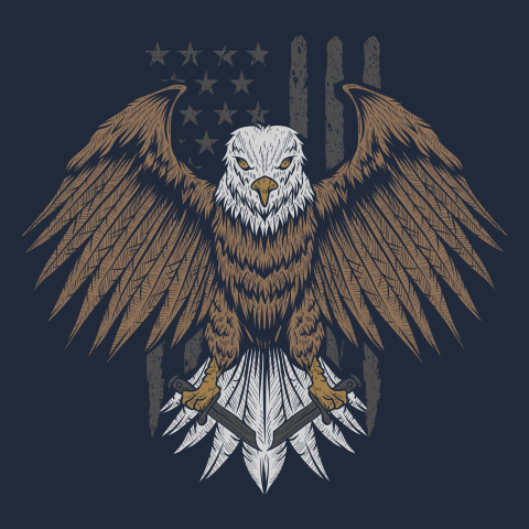 Eagle usa flag vector illustration PNG Free Download