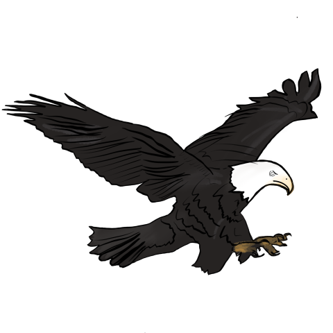 Eagle logo pictures PNG Free Download