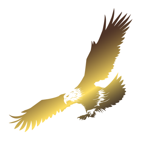Flying bald eagle golden PNG Free Download