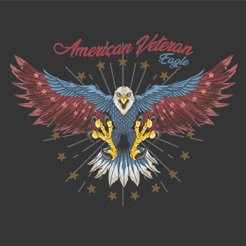 American veteran eagle illustration vector PNG Free Download