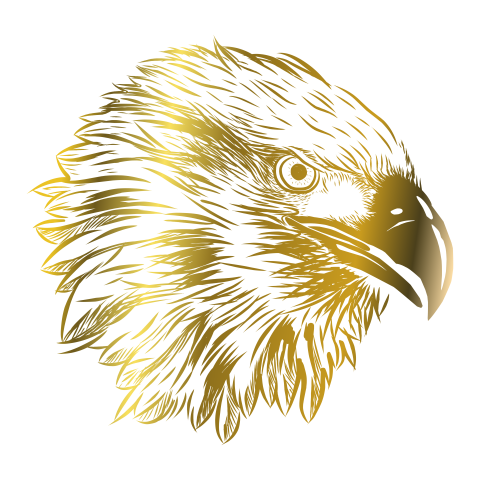 Golden eagle hand drawn vector PNG free Download