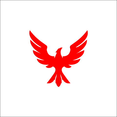 Falcon eagle bird logo template Free PNG Download