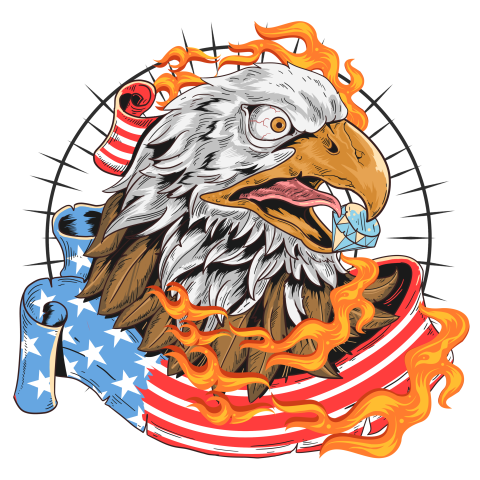 Eagle usa flag fire PNG free Download