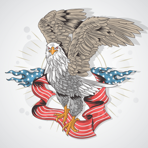 Eagle hawk usa flag detail PNG free Download