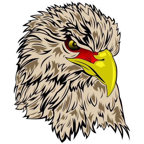 Cartoon brown eagle for decoration PNG Free Download